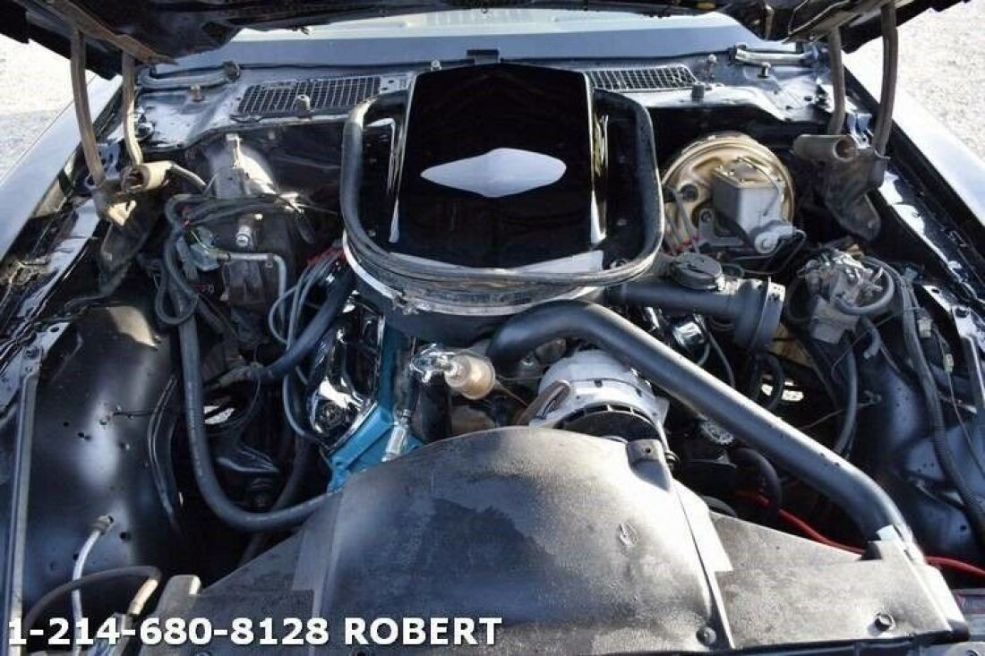 1979 Pontiac Trans Am - photo 7