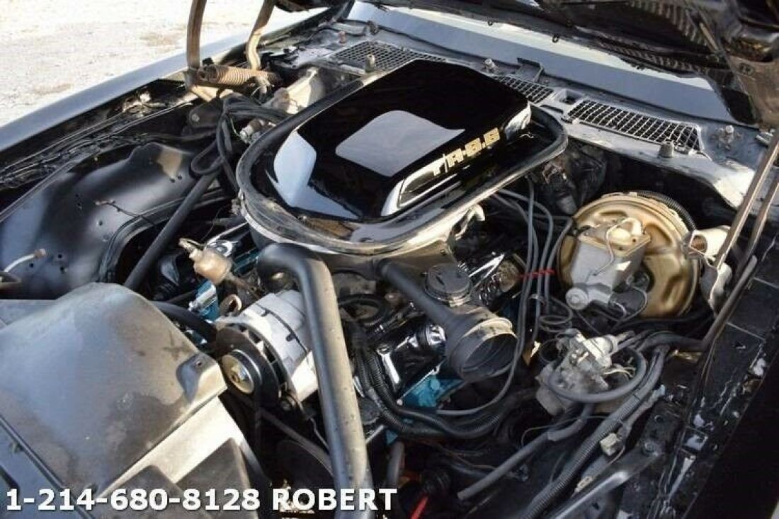 1979 Pontiac Trans Am - photo 9