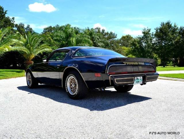 1979 Pontiac Trans Am - photo 11
