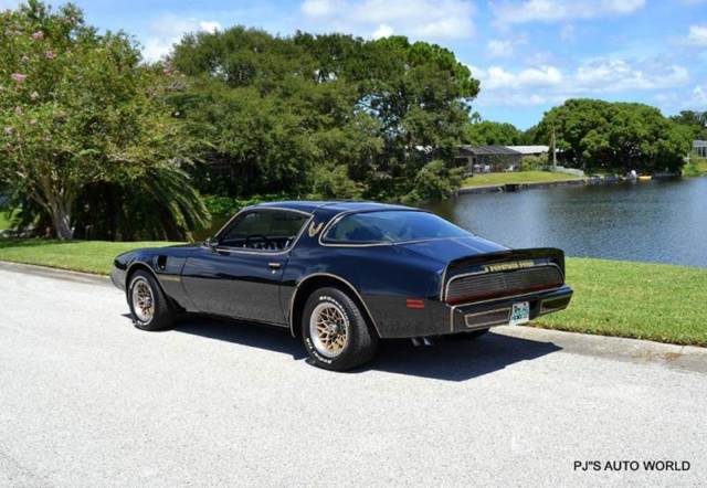 1979 Pontiac Trans Am - photo 3