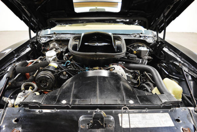 1979 Pontiac Trans Am -- - photo 10