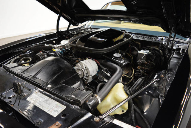 1979 Pontiac Trans Am -- - photo 11