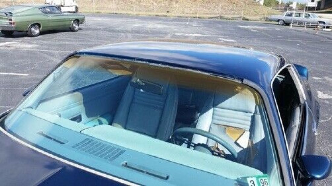 1979 Pontiac Trans Am - photo 11