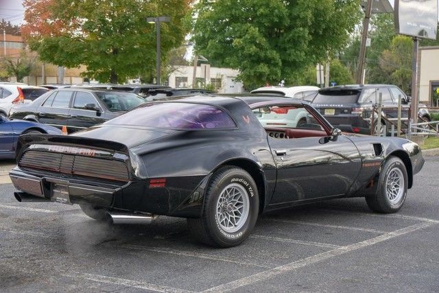 1979 Pontiac Trans Am -- - photo 5