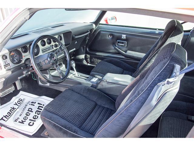 1979 Pontiac Trans Am N/A - photo 12