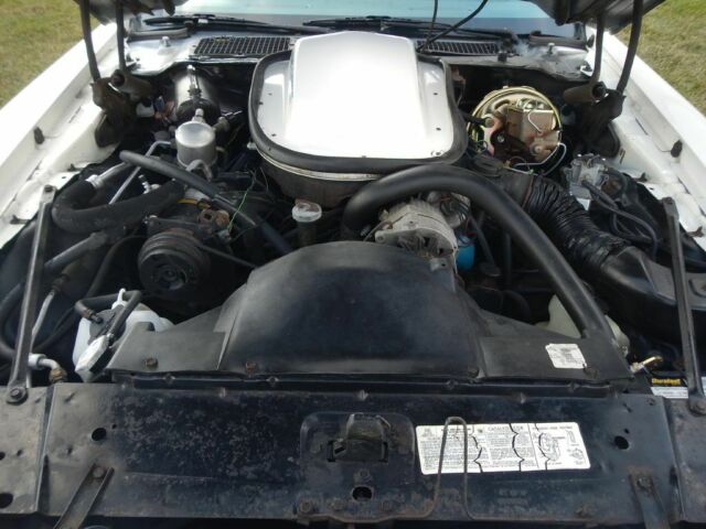 1979 Pontiac Trans Am -- - photo 12