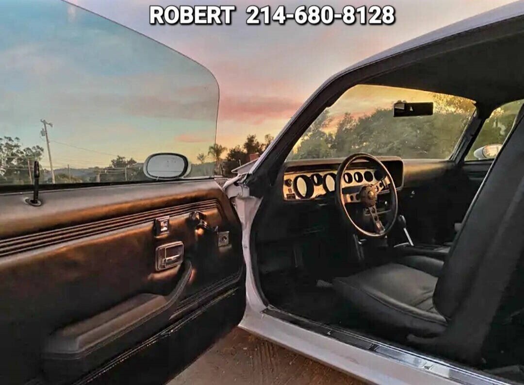 1979 Pontiac Trans Am All original 403ci 6.6ltr V8 - photo 13
