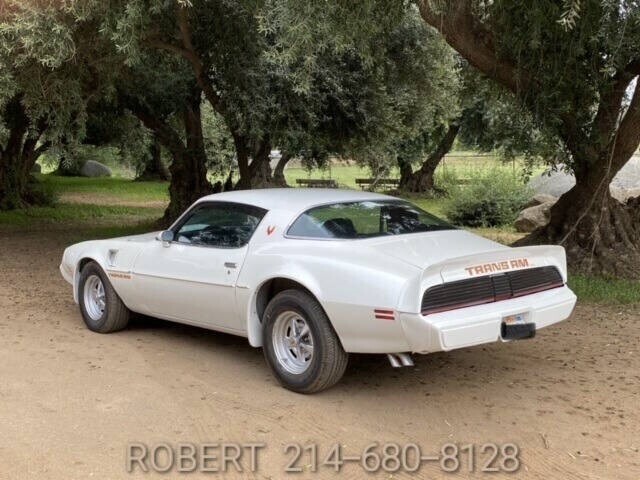 1979 Pontiac Trans Am All original 403ci 6.6ltr V8 - photo 6