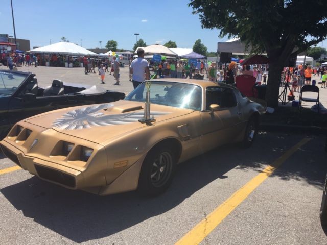 1979 Pontiac Trans Am **AMAZING** Many hours of love put into her!!! 1979 Pontiac Trans Am