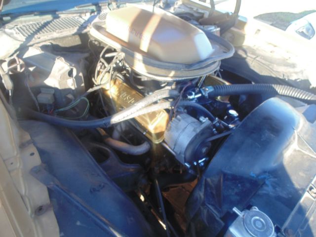 1979 Pontiac Trans Am - photo 10