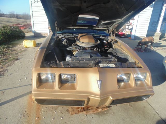 1979 Pontiac Trans Am - photo 11