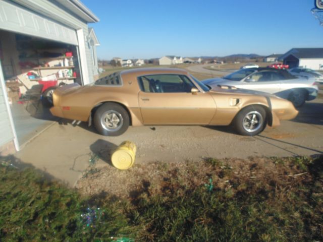 1979 Pontiac Trans Am - photo 3