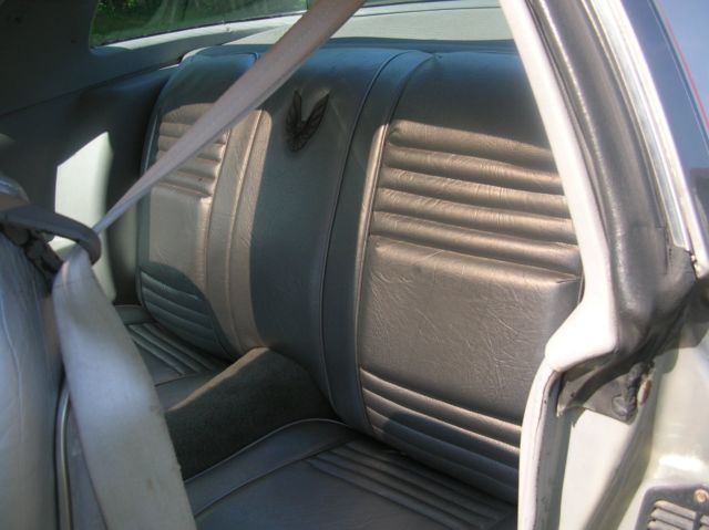 1979 Pontiac Trans Am - photo 9