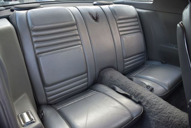1979 Pontiac Trans Am Anniversary Edition X-Code - photo 13
