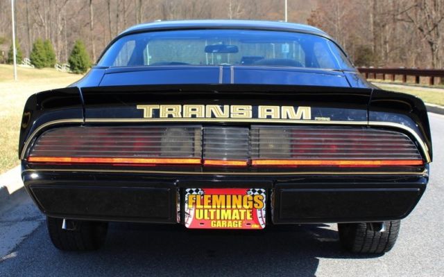 1979 Pontiac Trans Am Bandit - photo 11