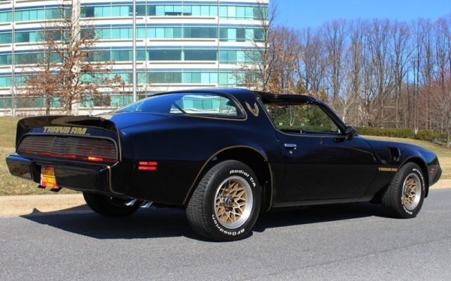 1979 Pontiac Trans Am Bandit - photo 12