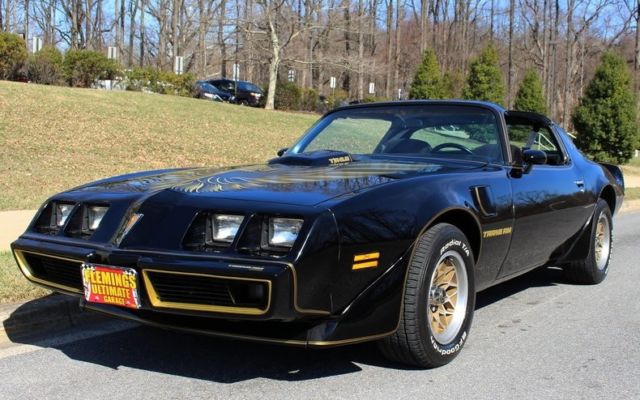 1979 Pontiac Trans Am Bandit - photo 9