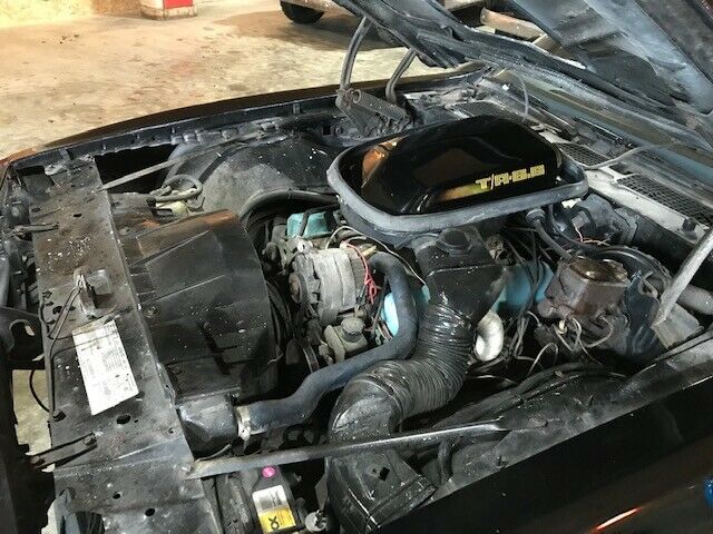 1979 Pontiac Trans Am NO RESERVE!! HD Video! Signed Burt Reynolds - photo 4