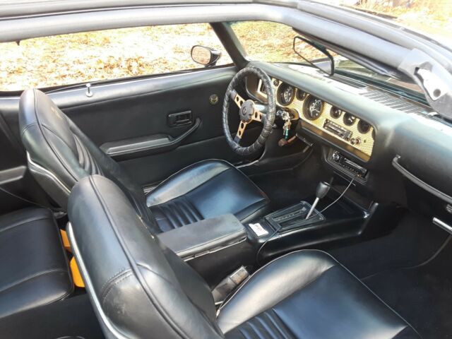 1979 Pontiac Trans Am - photo 11