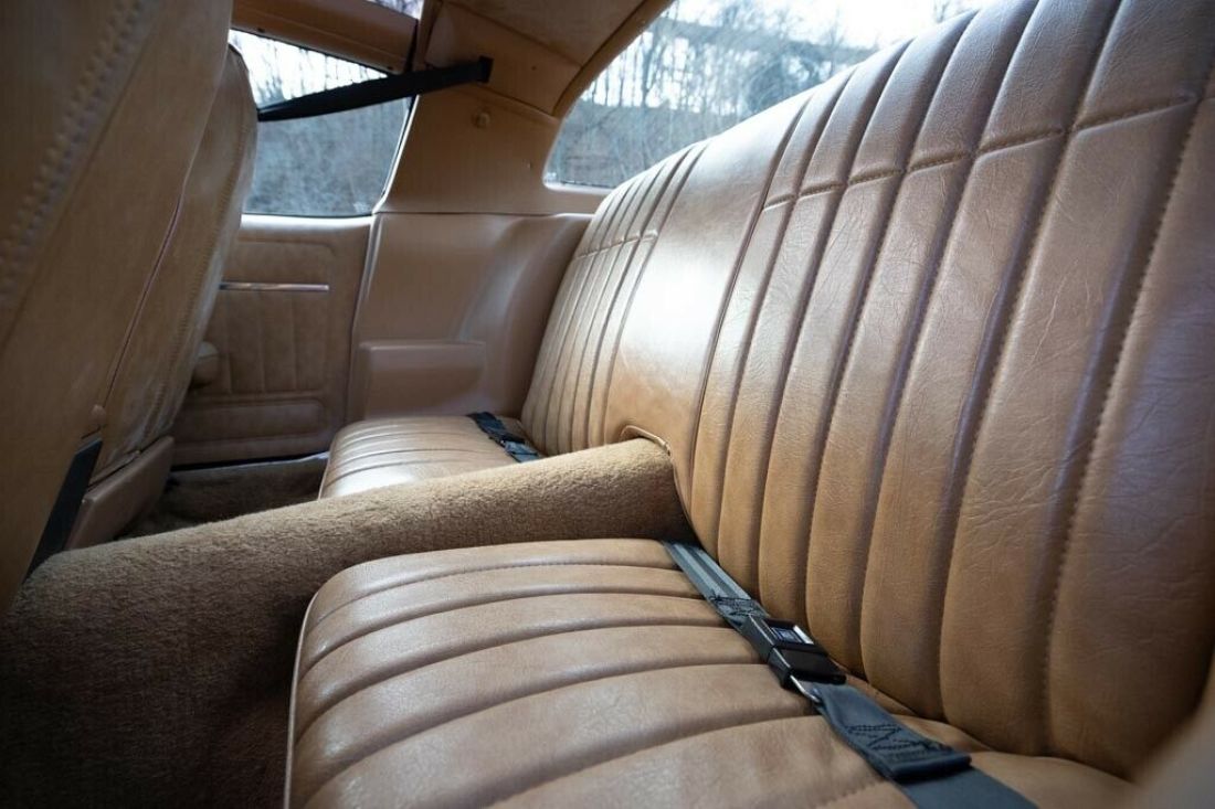 1979 Pontiac Trans Am - photo 5