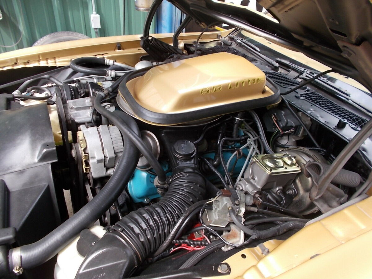 1979 Pontiac Trans Am Tan - photo 13