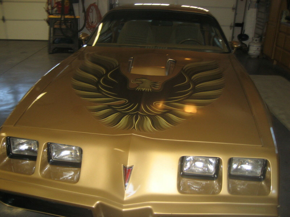 1979 Pontiac Trans Am Tan - photo 3