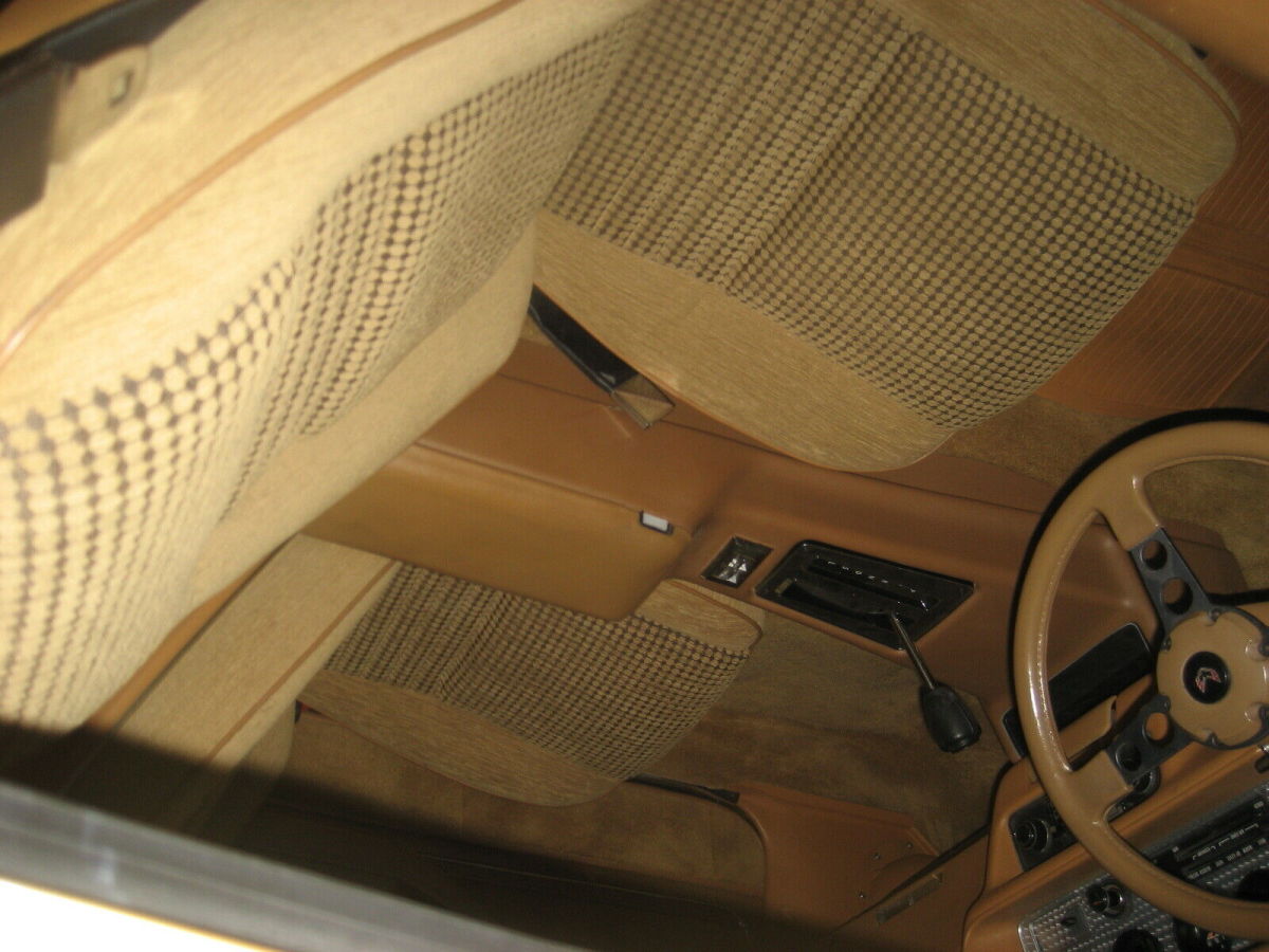 1979 Pontiac Trans Am Tan - photo 5