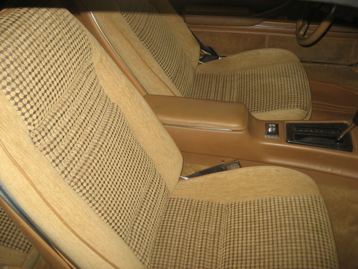1979 Pontiac Trans Am Tan - photo 6