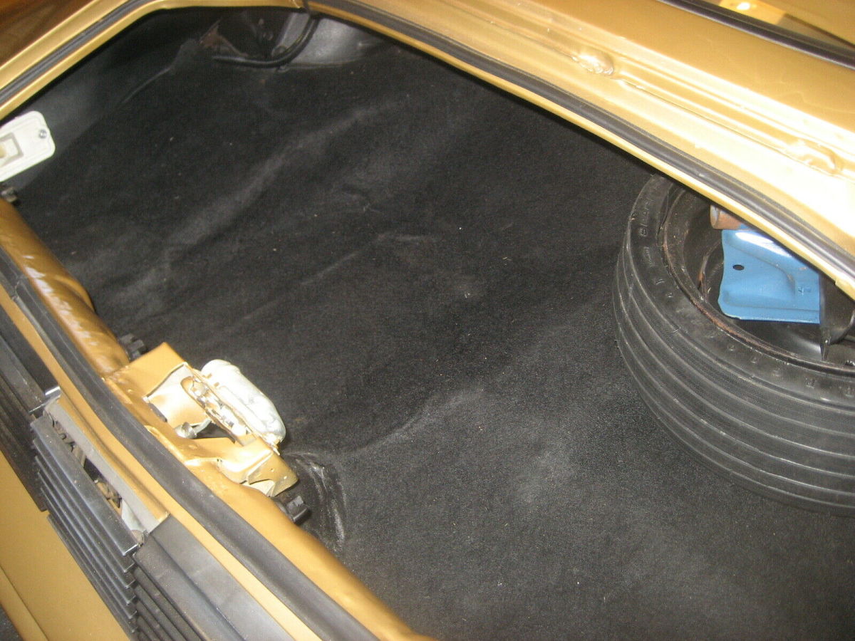 1979 Pontiac Trans Am Tan - photo 7