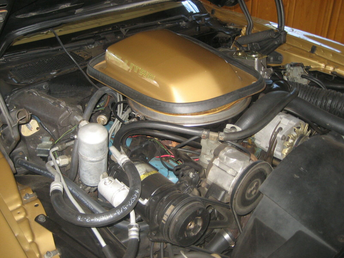 1979 Pontiac Trans Am Tan - photo 8