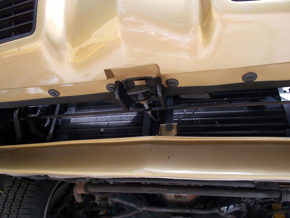 1979 Pontiac Trans Am Tan - photo 9