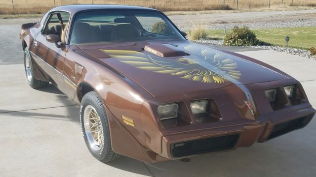 1979 Pontiac Trans am BIG 6.6 Litre engine VERY ORIGINAL Loaded bandit NO RESERV 1979 Pontiac Trans Am