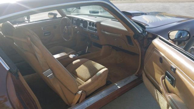1979 Pontiac Trans Am - photo 13
