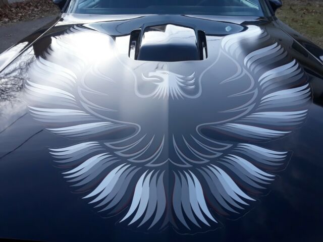 1979 Pontiac Trans Am TRANS AM - photo 5