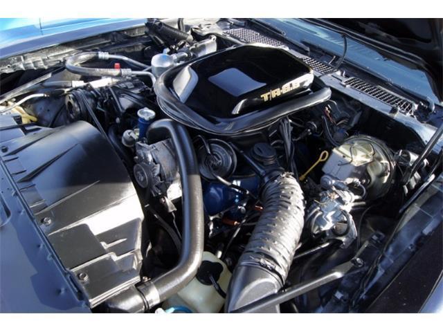 1979 Pontiac Trans Am - photo 3