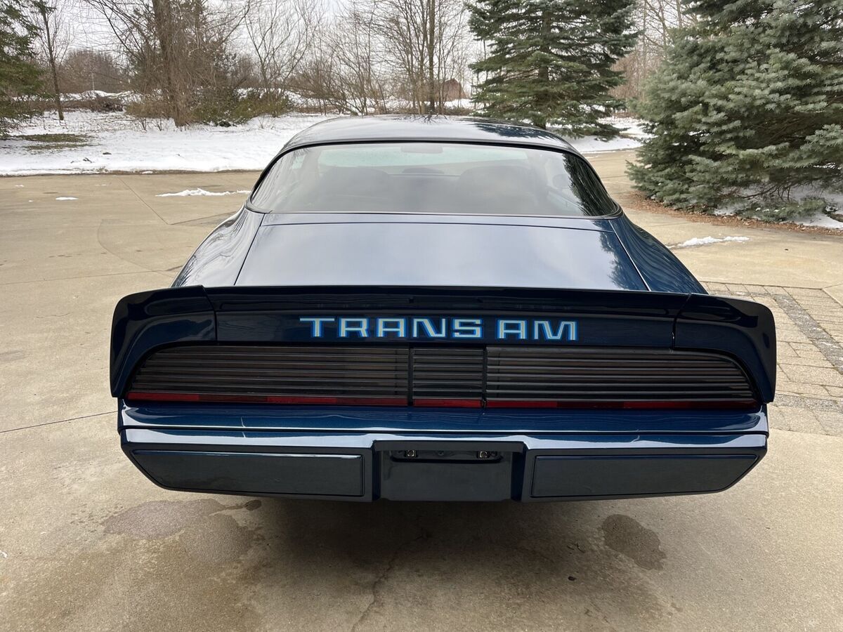 1979 Pontiac Trans Am Deluxe - photo 7