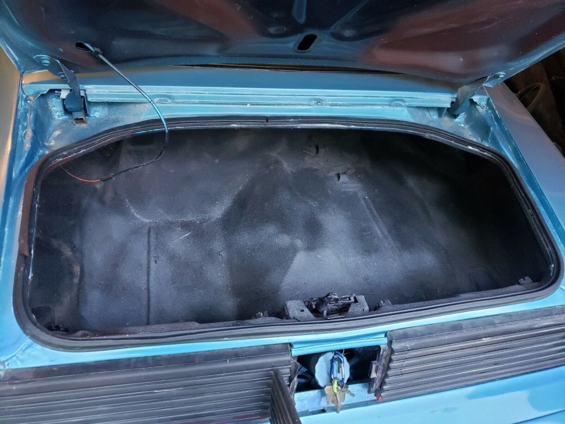 1979 Pontiac Trans Am - photo 12