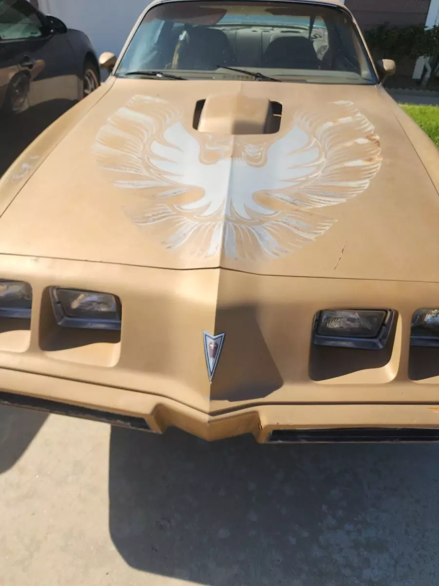 1979 Pontiac Trans Am Brown 1979 Pontiac Trans Am