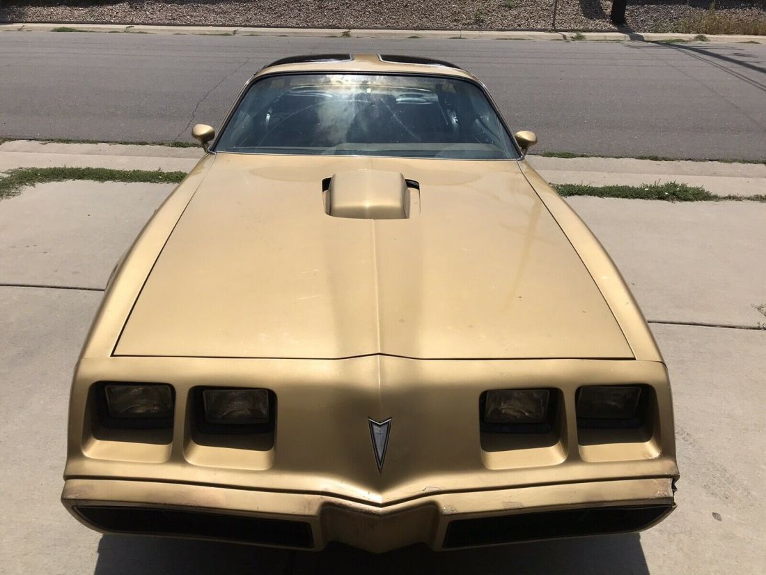 1979 Pontiac Trans Am deluxe - photo 3