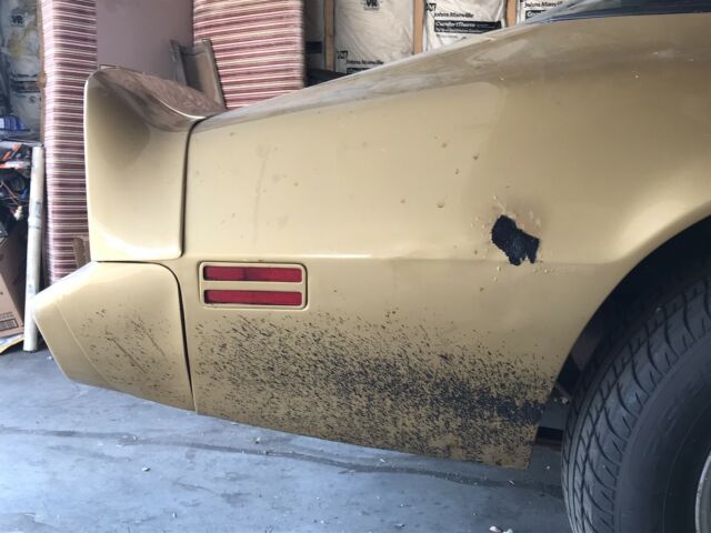 1979 Pontiac Trans Am deluxe - photo 8