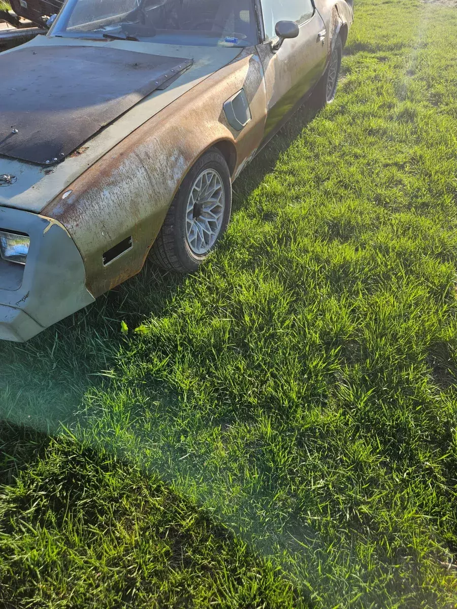 1979 Pontiac Trans Am