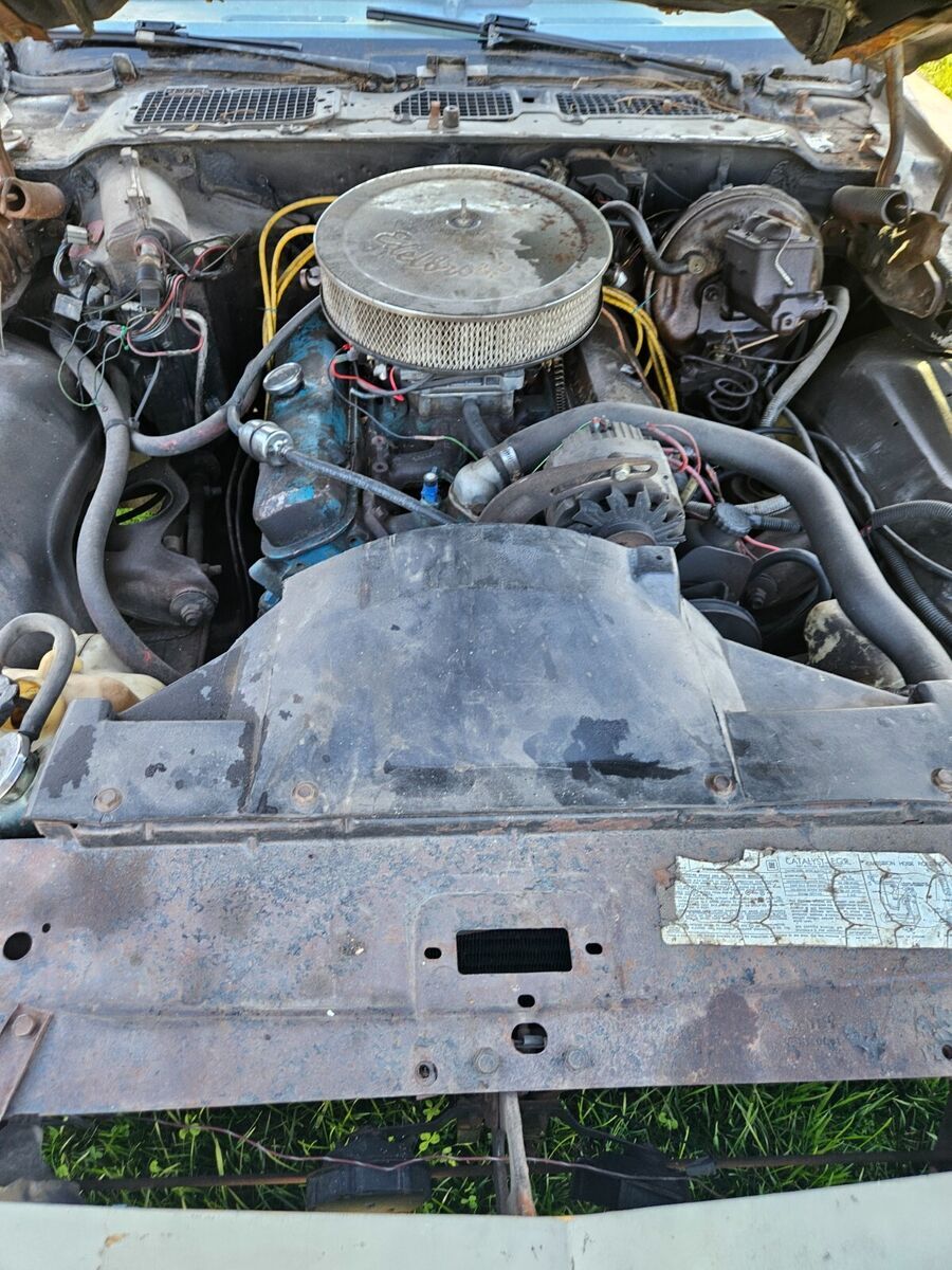 1979 Pontiac Trans Am - photo 11