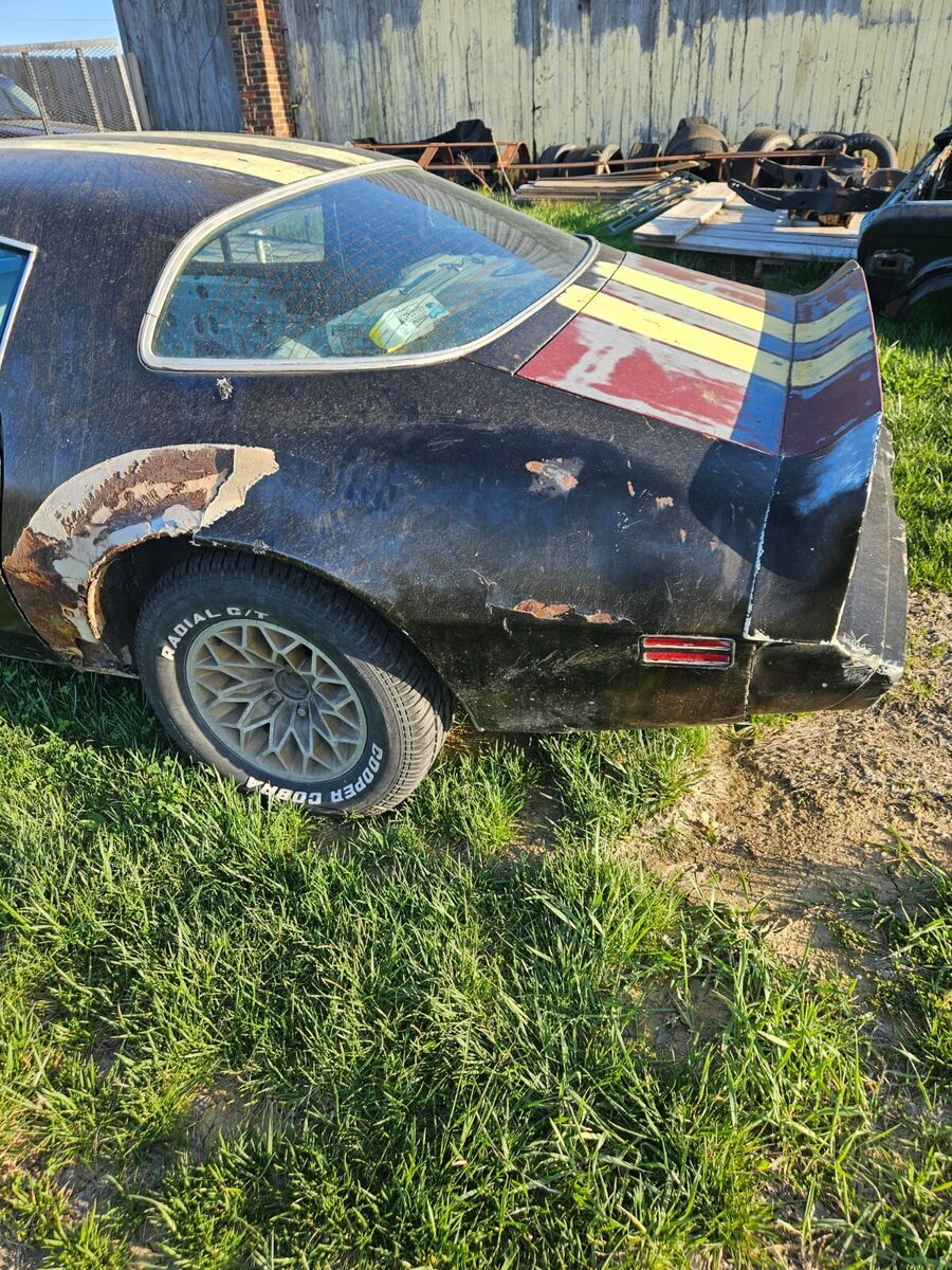 1979 Pontiac Trans Am - photo 4