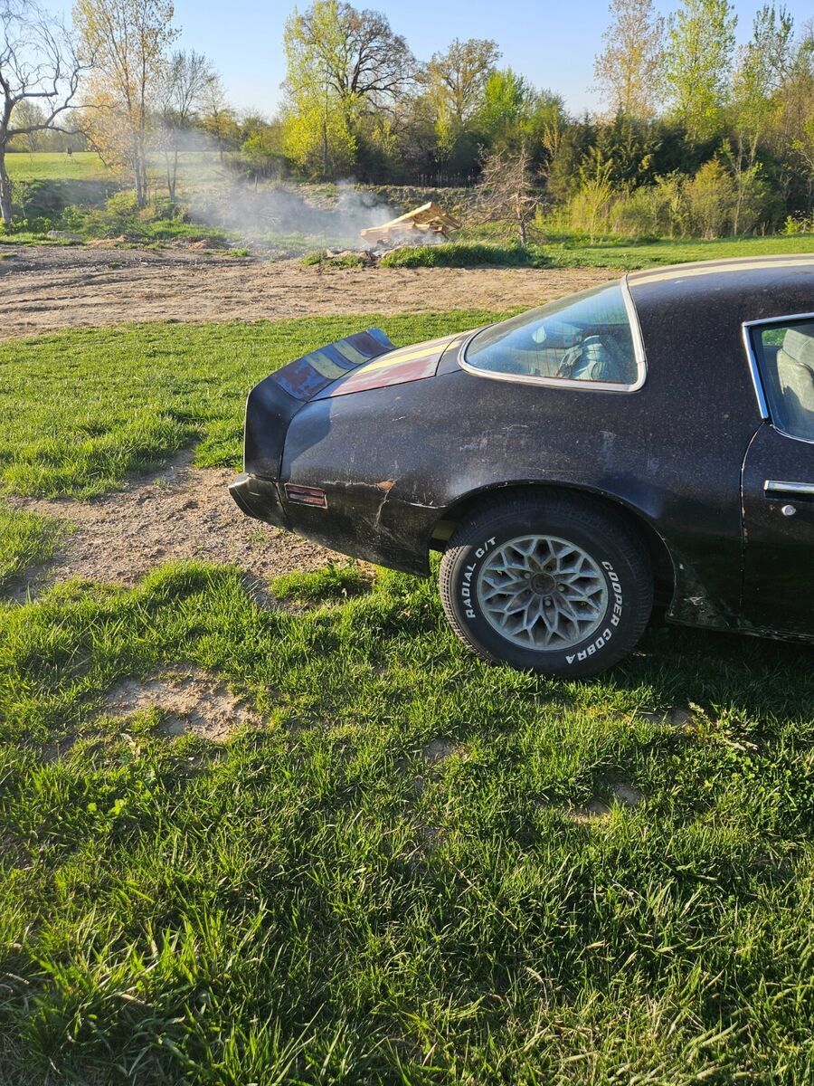 1979 Pontiac Trans Am - photo 5