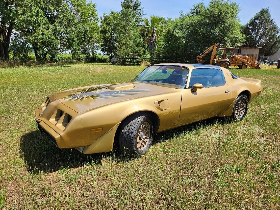 1979 Pontiac Trans Am Trans Am - photo 2