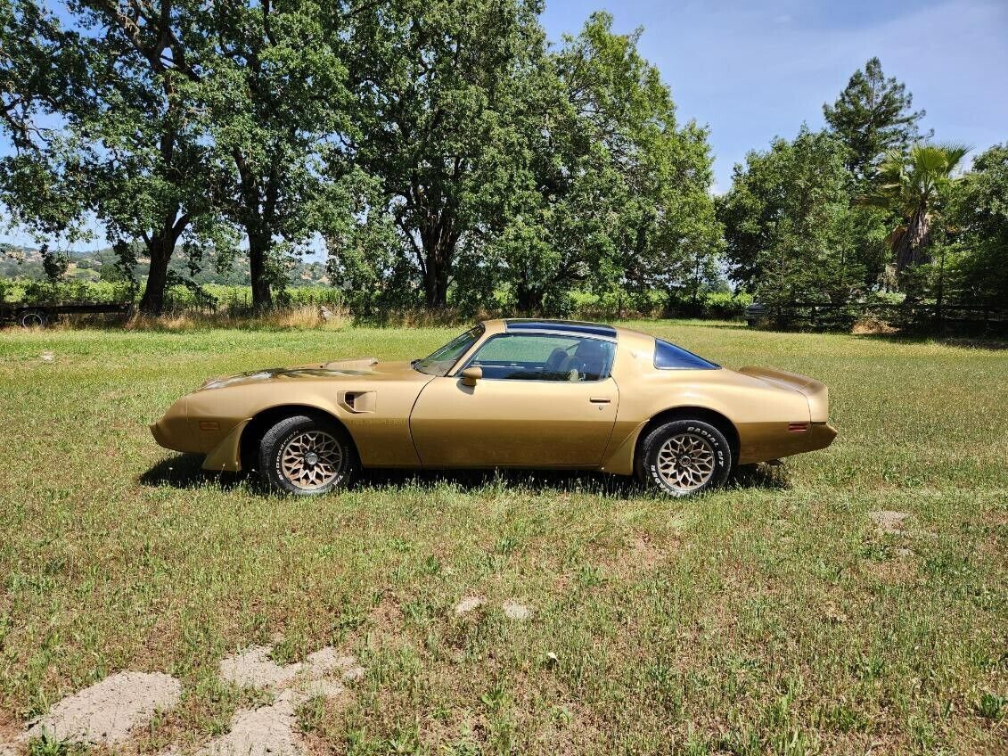 1979 Pontiac Trans Am Trans Am - photo 3