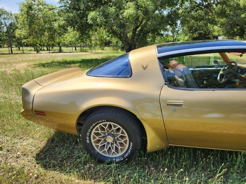 1979 Pontiac Trans Am Trans Am - photo 4