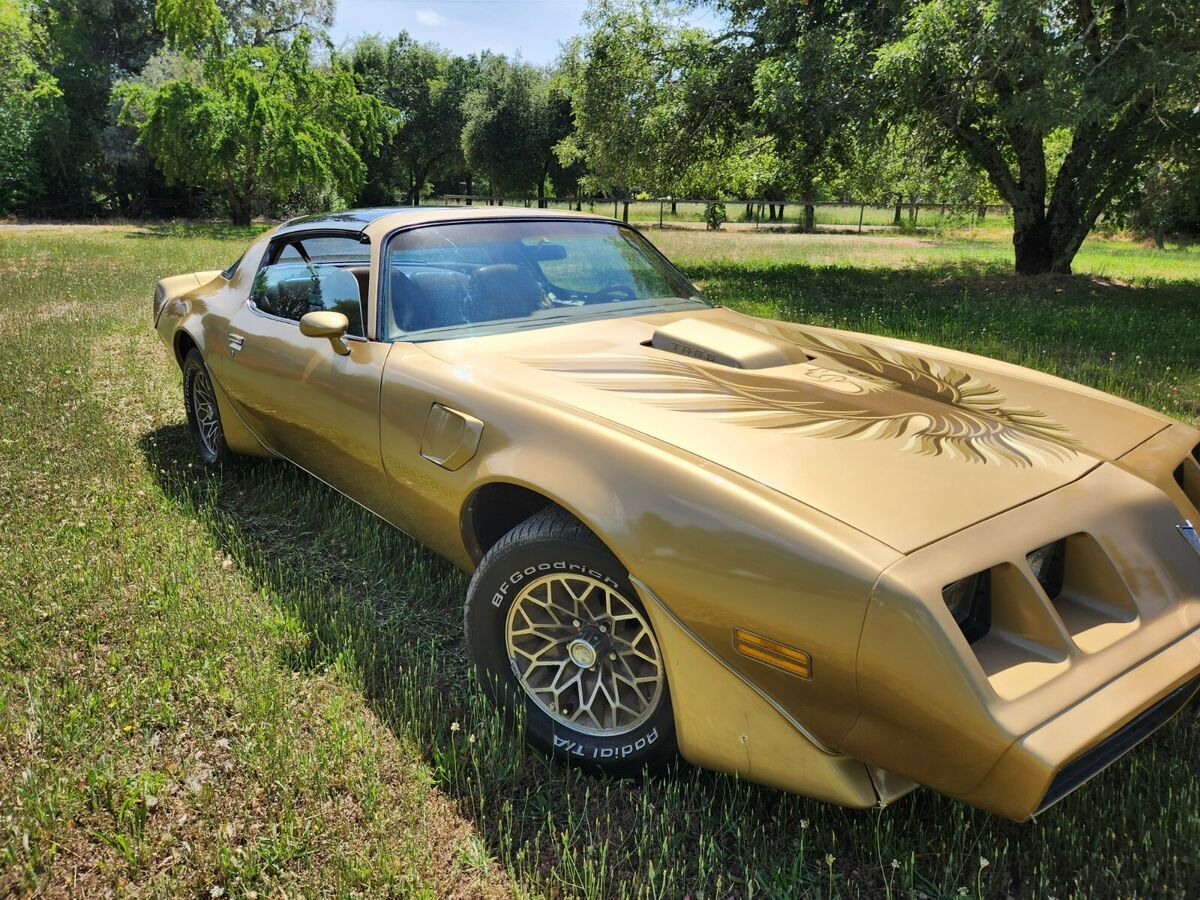 1979 Pontiac Trans Am Trans Am - photo 6