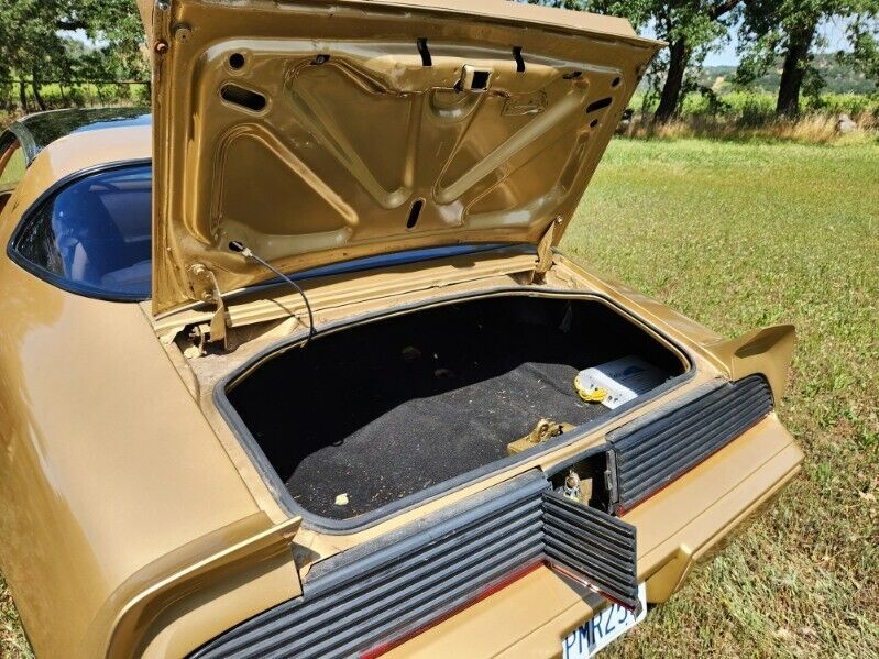 1979 Pontiac Trans Am Trans Am - photo 7
