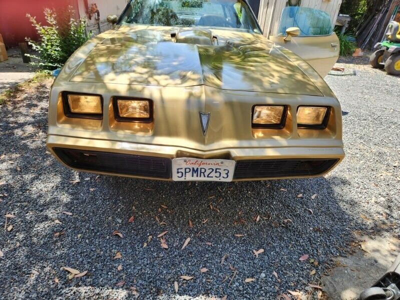 1979 Pontiac Trans Am Trans Am - photo 8